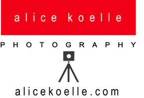 Alice Koelle Photography, Inc.